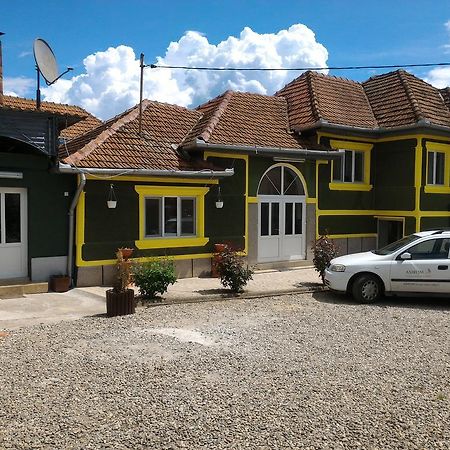 Haţeg Casa Ana 아파트 외부 사진