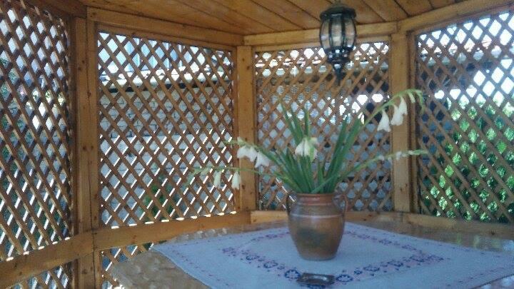 Haţeg Casa Ana 아파트 외부 사진