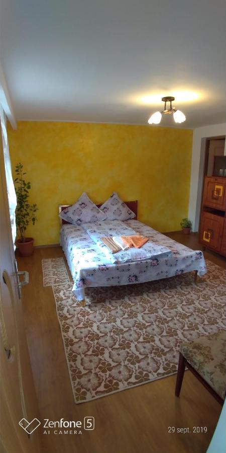 Haţeg Casa Ana 아파트 외부 사진